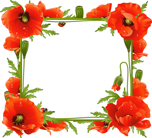 Http - //li-web - Ru/ - Flower Photo Frame Download (500x456)