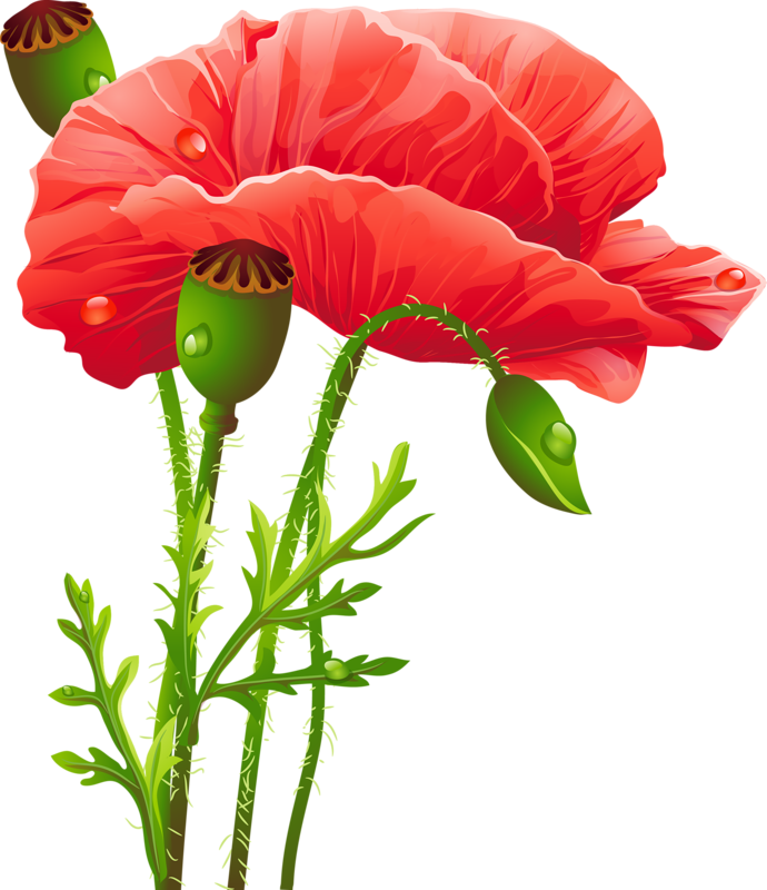 Https - //img-fotki - Yandex - Ru/get/54799/ - Artistic Red Poppies Shower Curtain (690x800)