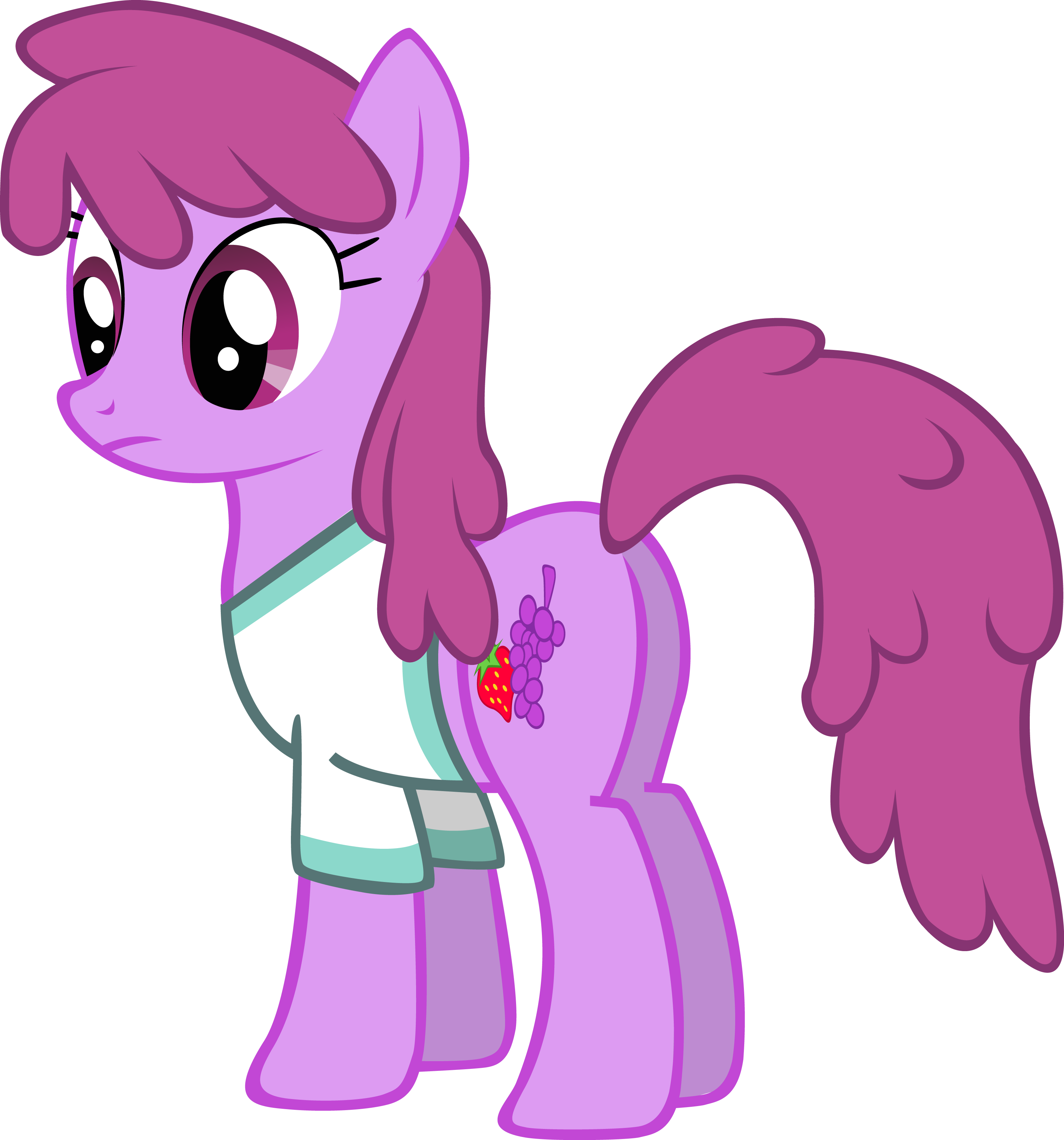 Checker Pony, Berry Punch, Berryshine, Clothes, Plot, - Berry Punch Cutie Mark (3171x3398)