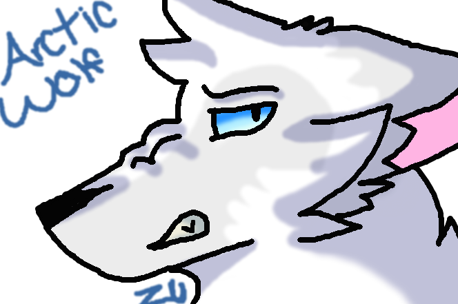 Random Drawing Of An Arctic Wolf On Aj By Zetroumbreonaj - Random Drawing Of An Arctic Wolf On Aj By Zetroumbreonaj (664x441)