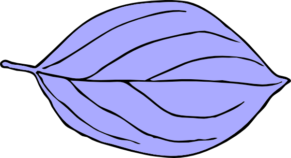 Stage Of Butterfly Cartoon (600x327)