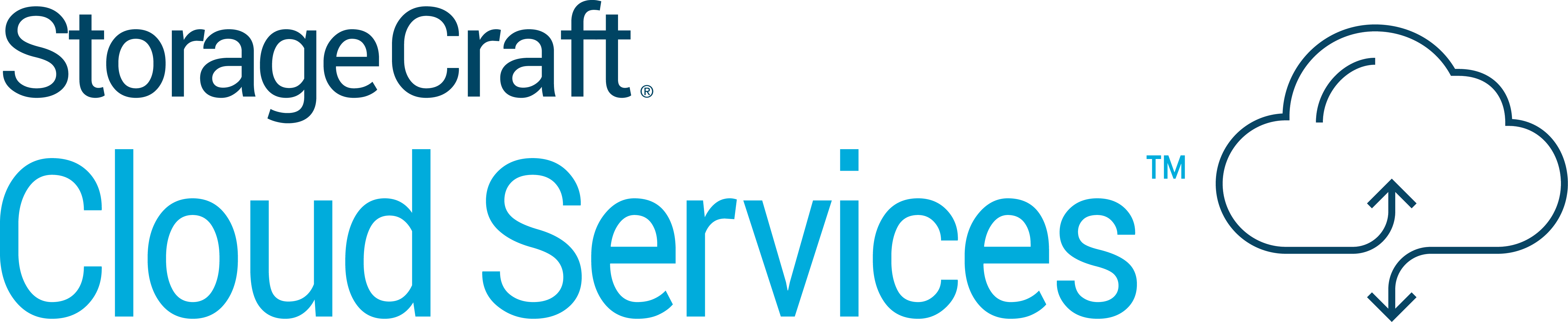 Ichoose Pregnancy Support Services (5092x1047)