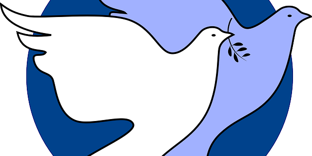 3 Practical Ways To Lead A More Peaceful Life - Dallas Peace And Justice Center Logo (640x321)