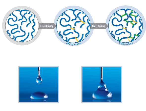 2 Cross-linked Polymers In 1 Unique Product - Polymer (591x451)