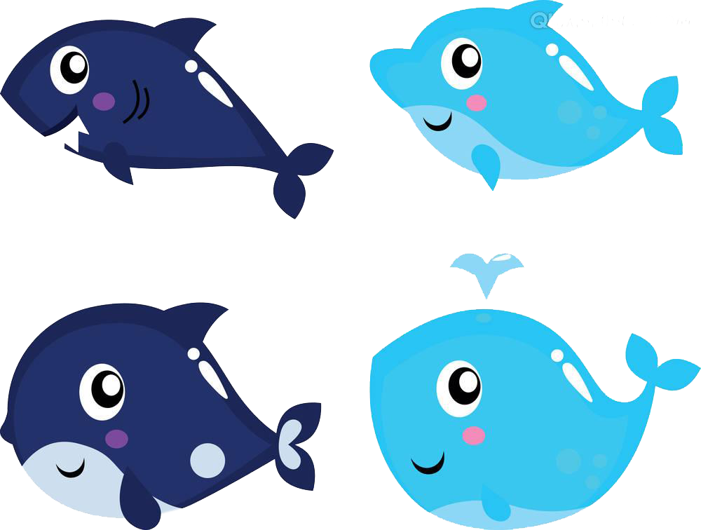 Shark Killer Whale Royalty-free Clip Art - Shark Killer Whale Royalty-free Clip Art (1000x756)