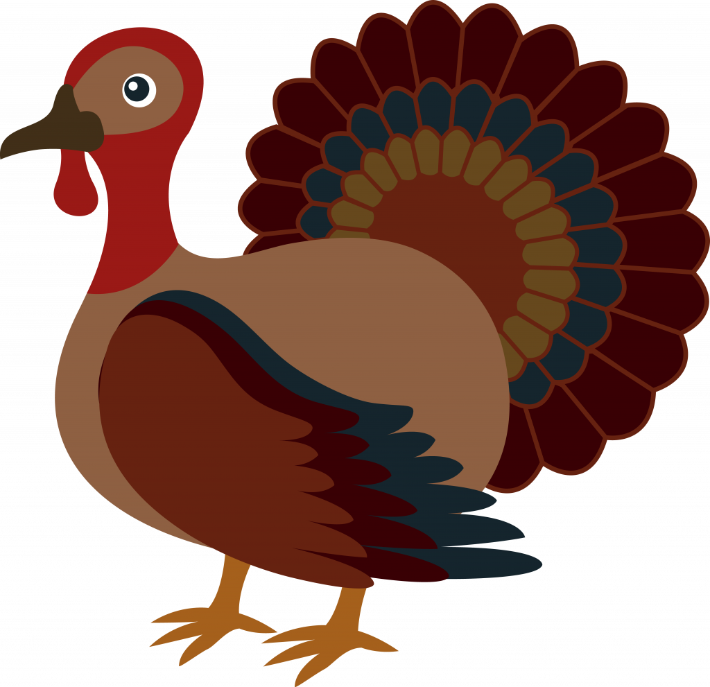 Thanksgiving ~ Happy Thanksgiving Turkey Pictures Clipart - Happy Thanksgiving Shower Curtain (1024x991)