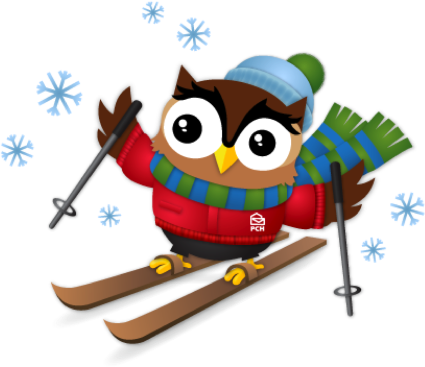 Edwin Winter Activities - Ski Owl Clip Art (902x767)