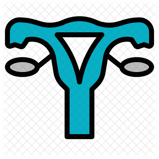 Female Uterus Icon - Ovary (512x512)