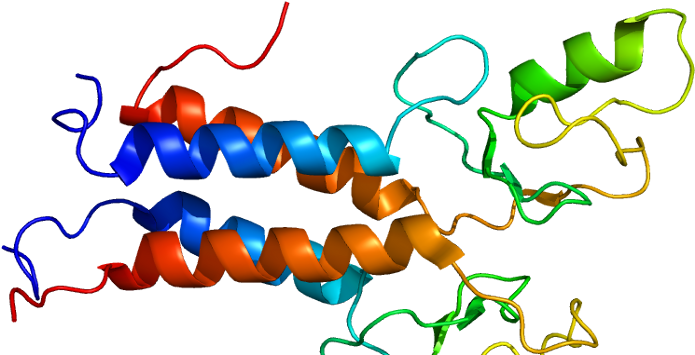 New Study Looks Into Why Brca1 Mutations Cause Predominantly - Intellectual Property In Molecular Medicine By Salim (744x355)