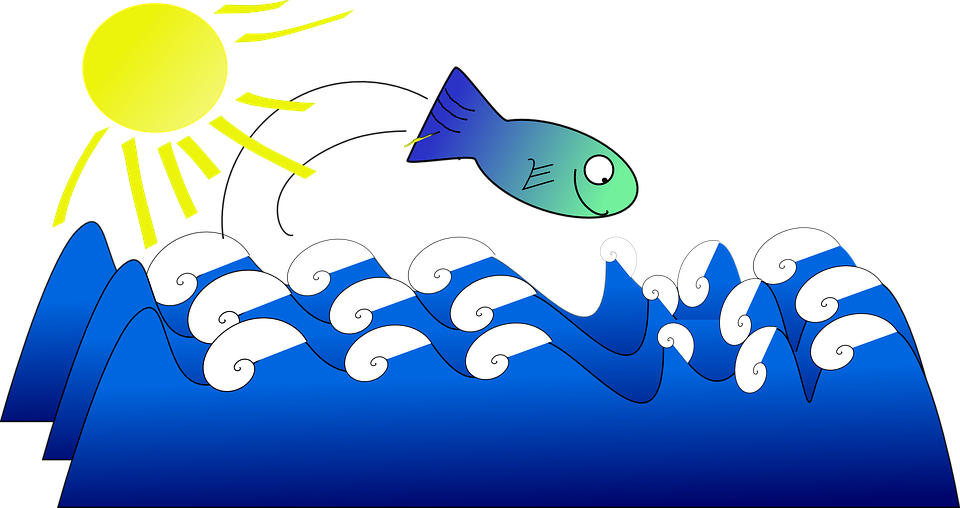 Fish Home Cliparts 9, Buy Clip Art - Fish (960x508)