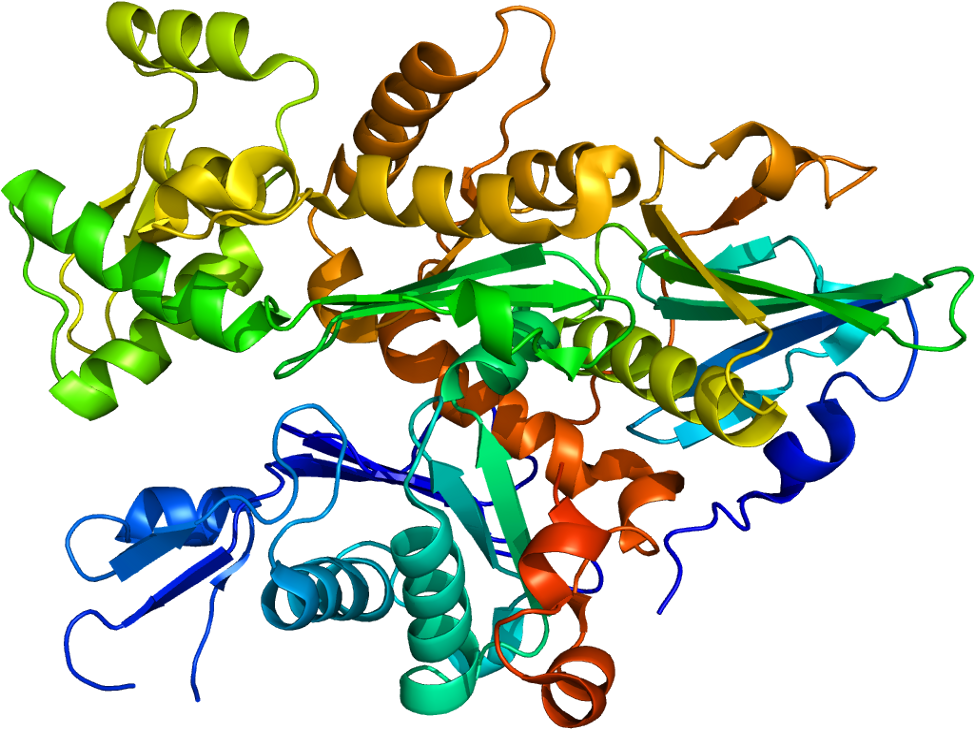 Protein Data Base 3-d Rendering Of The Gelsolin Protein - Gelsolin (1024x778)
