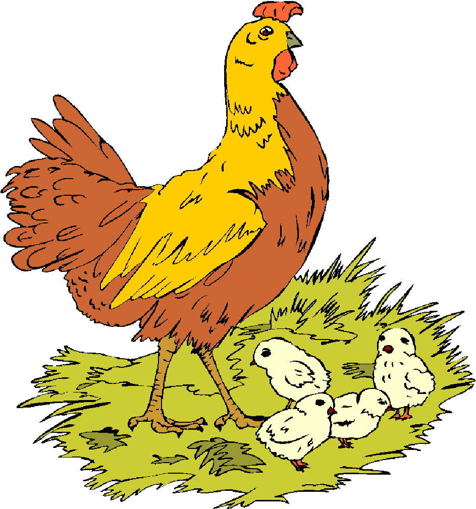 Standard Formula Of Ovimin Contains Multivitamins, - Chicken (962x1039)