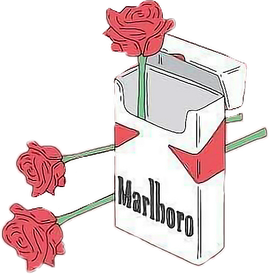 Roses Aesthetic Cigarette Cigarettes Smoking Flowers - Rose And Cigarettes (532x542)