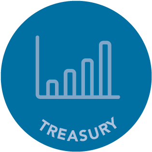 Treasury Management - Treasury Management System Icon (350x350)