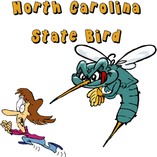 The Mosquitoes Are So Big And Plentiful In North Carolina, - Nc State Bird Mosquito (560x560)