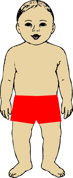 Child Human Body Clipart - Clip Art (240x586)