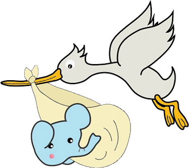 Baby On Board - Baby On Board (375x333)