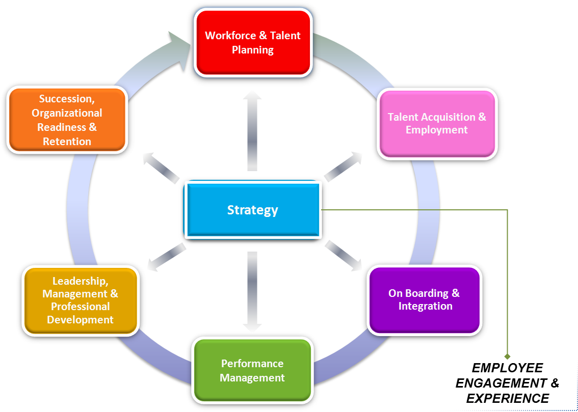 The Talent Management Continuum - Talent Management (1226x822)