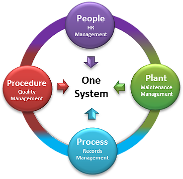Using 4ps, Your Business Information Is Accessible - People Plant Process (370x360)