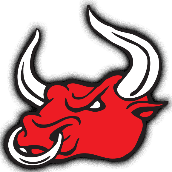 Bull Face Clipart Cliparts For You - Bull Head Red (576x576)