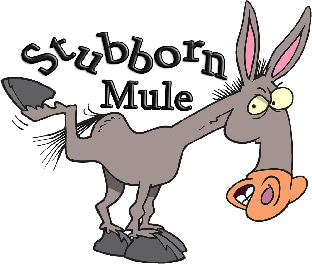 So - Stubborn Mule (1000x846)