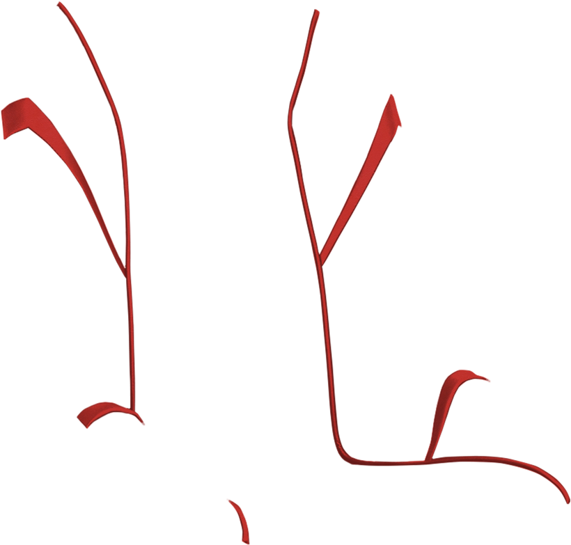 Design Your Own / Utv / Polaris - Illustration (912x1200)