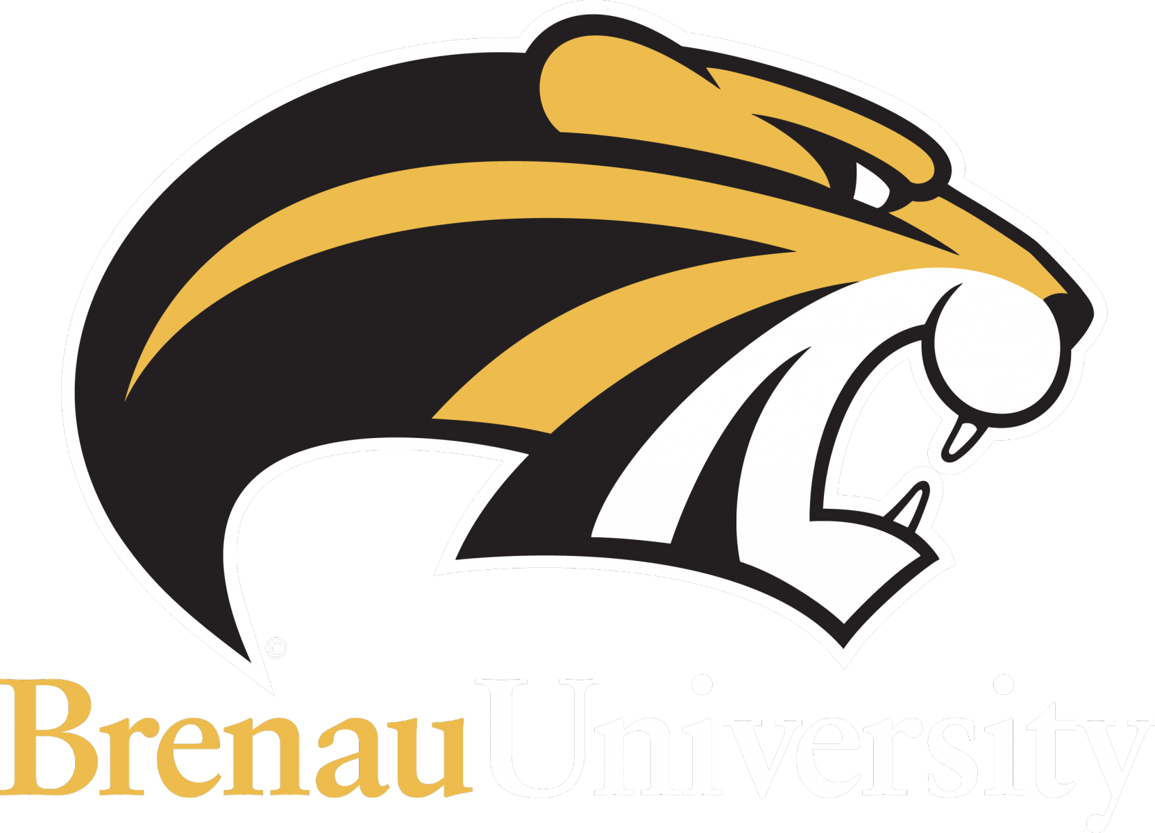 Brenau University Logo (1664x1200)