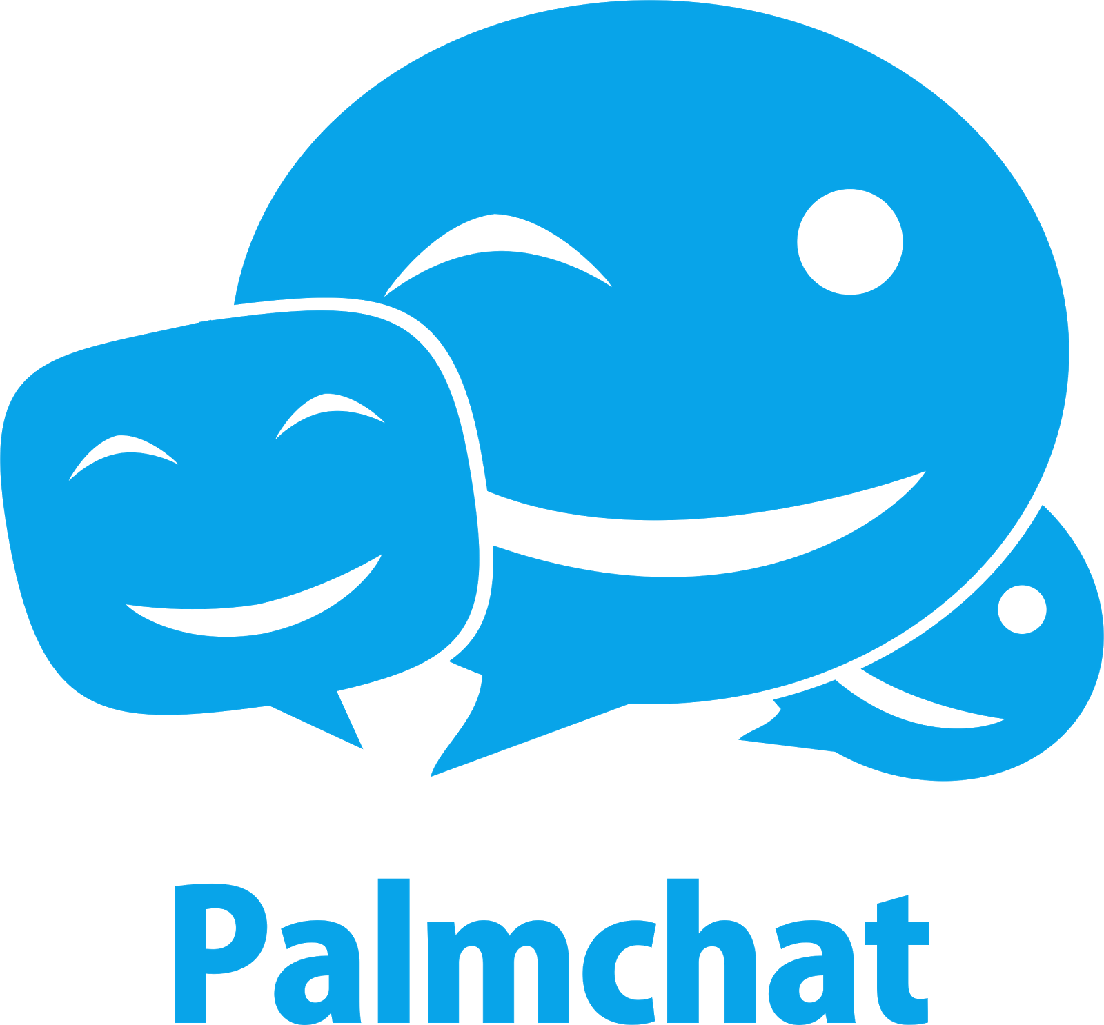 Palmchat Messenger (1600x1486)