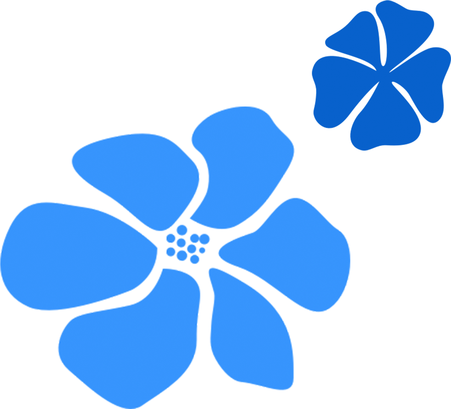 Blue Tropical Flowers - Blue (1896x1722)