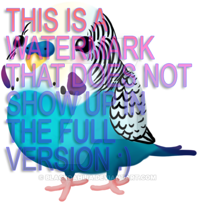 Budgie By Blackdahlia - Illustration (400x403)