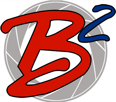 Team Roster Form - Blog (419x354)