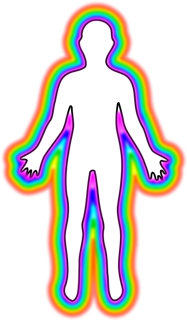 Human Body Female Body Shape Outline Clip Art - Outline Of A Body (675x1125)