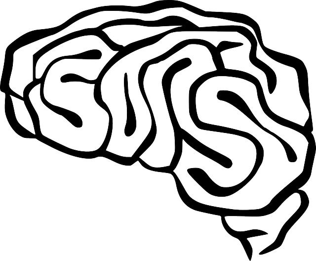 Outline, People, Silhouette, Thinking, Human, Cartoon - Brain Clip Art (640x528)