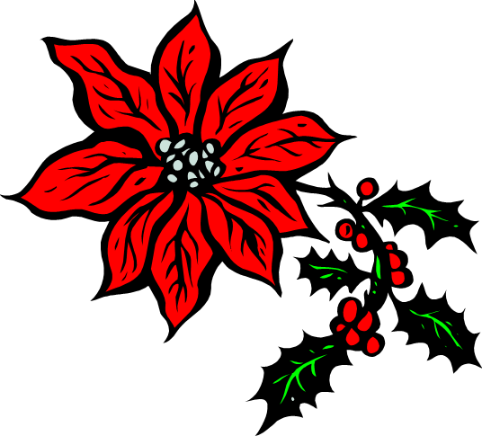 Poinsetta - History (536x485)