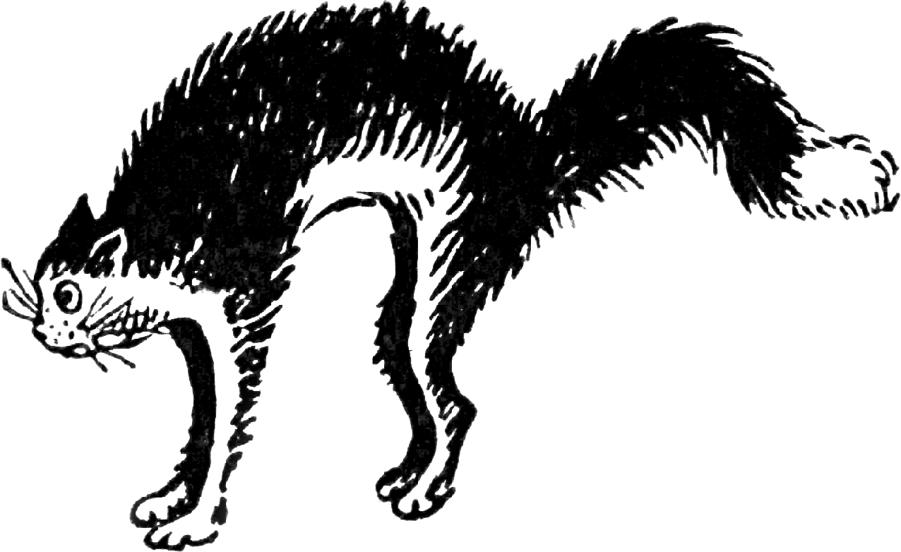 Originally Taken From The Internet Archive Book Images - Black Cat Backpack By Upopot (1276x782)