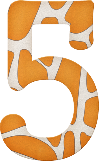 Numero 5 Animal Print (335x542)