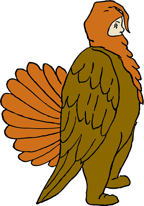 Cartoon Turkey Pictures Thanksgiving 9, Buy Clip Art - Disfraz De Pavo De Accion De Gracias (505x720)