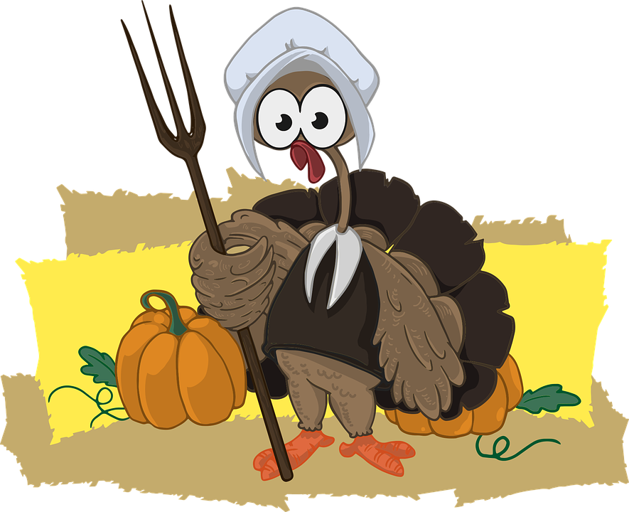 Cartoon Turkey Image 25, Buy Clip Art - Turkey Pilgrim 32501 Button Earrings Necklace Ponytail (885x720)