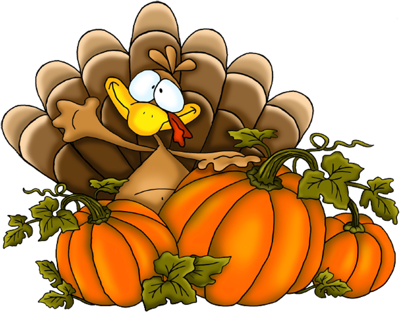Thanksgiving Turkey Cartoon Turkey Clipart Clipart - Thanksgiving Png (800x615)