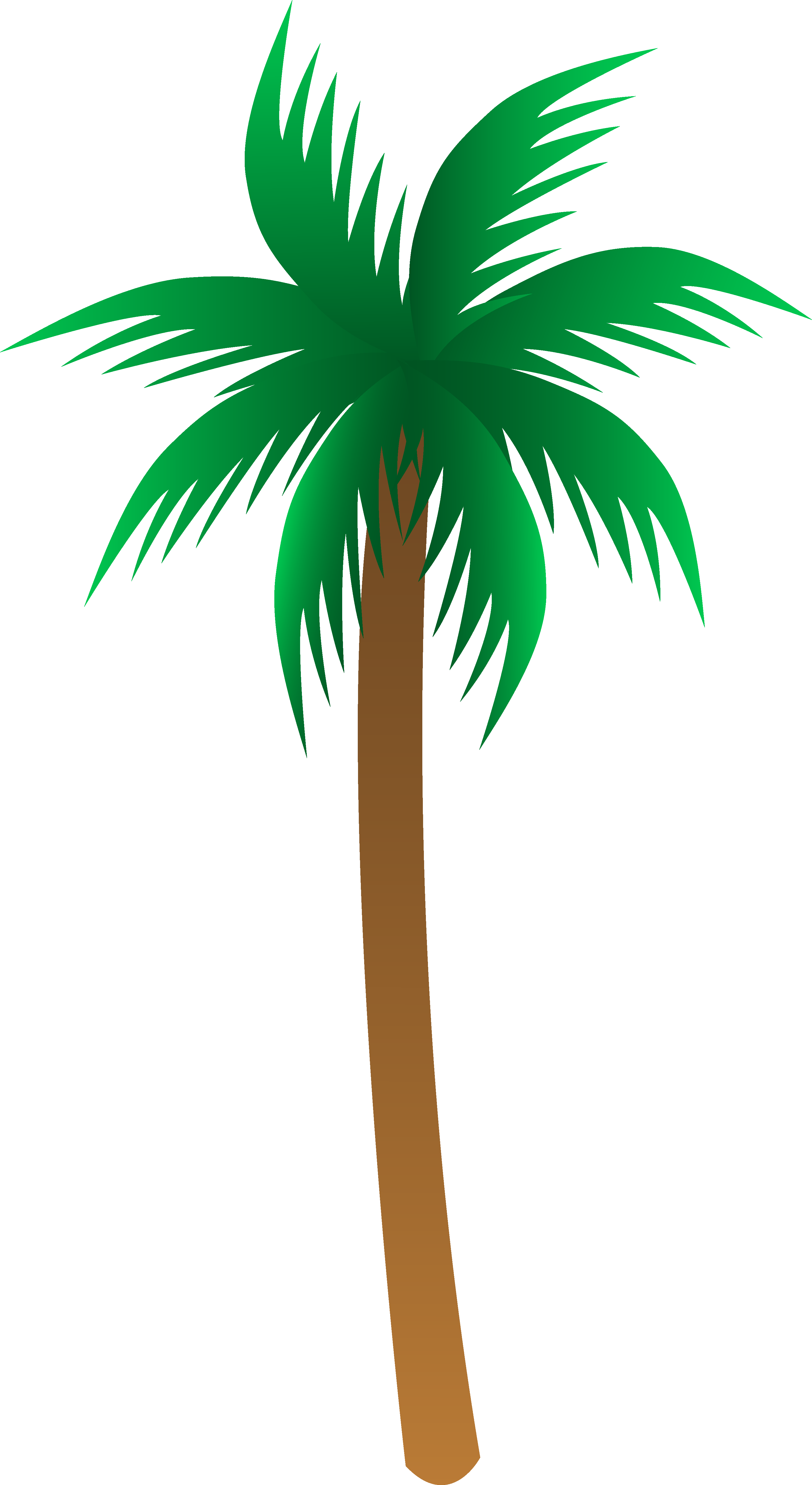 Vector Palm Tree Clip Art Palm Trees Clipart Mylocalguide - Palm Tree Clipart Png (3182x5819)