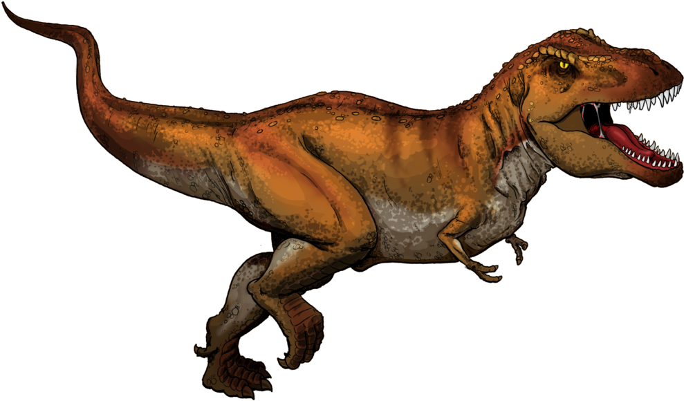 Trex Cc - Color Was Tyrannosaurus Rex (1024x724)