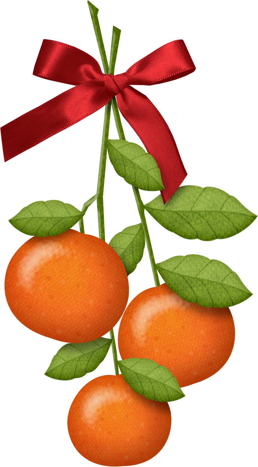 Explore Chinese New Years, Clipart, And More Sgblogosfera - Mandarin Orange (883x1600)