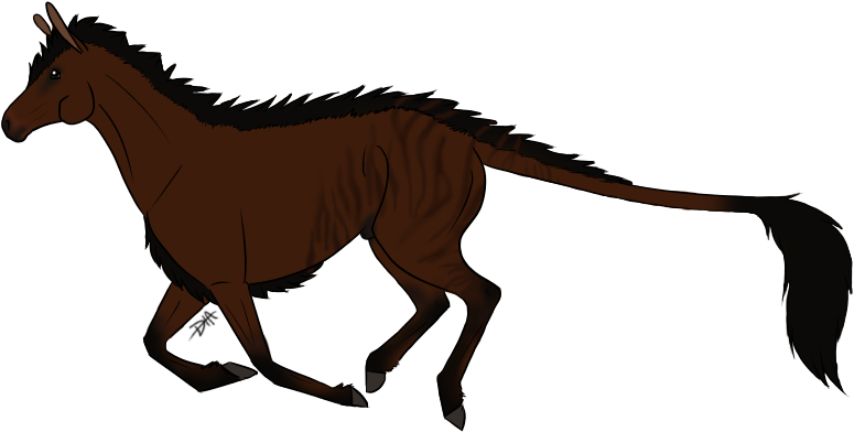 Race Clothes I & Ii, Red And White, Smile For The Camera, - Cartoon (800x400)