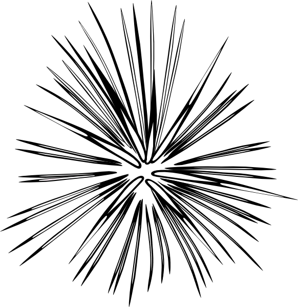 Fireworks Clipart Black And White Transparent Clipart - Spark Black And White (1244x1280)