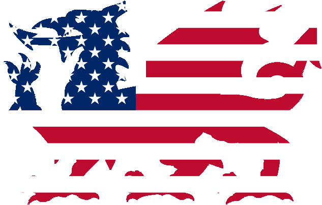 The Welsh In America American Presidents Of Welsh Descent - Dragon Wing Fidget Spinner | Game Of Thrones | Metal (800x421)