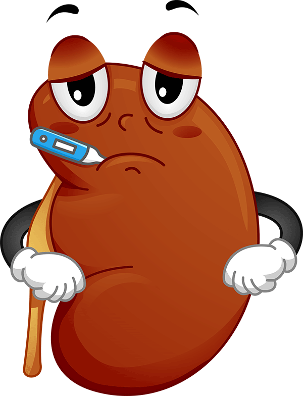 Treatment For Kidney Disease The Correct Understanding - Sick Kidney Cartoon (600x784)