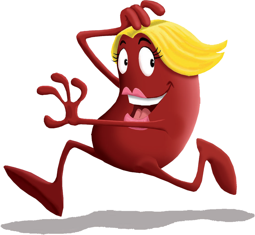 Kidney Happy - Kidney (1146x1146)
