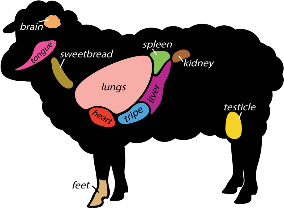 Meat Cuts - - Internal Parts Of A Sheep (920x686)