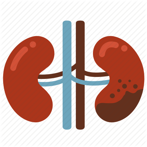 Cancer, - Kidney Disease Clipart (512x512)