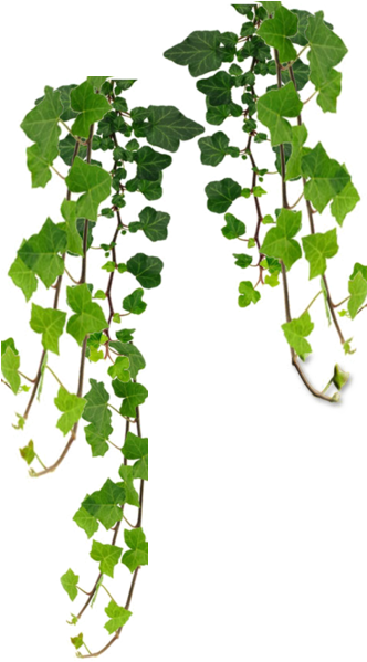 Tues-fri - Stonecrest, Georgia (345x598)